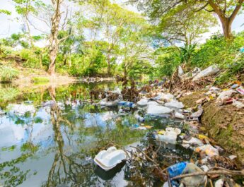 De acuerdo a información del Organismo de Cuenca Golfo Centro de la Comisión Nacional del Agua (CONAGUA), el 30 por ciento de los ríos de Veracruz presentan algún nivel de contaminación.