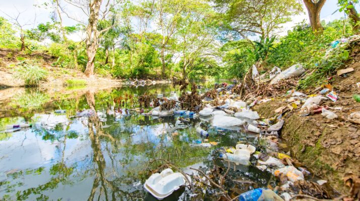 De acuerdo a información del Organismo de Cuenca Golfo Centro de la Comisión Nacional del Agua (CONAGUA), el 30 por ciento de los ríos de Veracruz presentan algún nivel de contaminación.