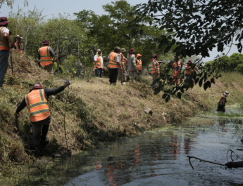 Intensifica Ayuntamiento de Veracruz trabajos de limpieza y desazolve ante temporada de lluvias