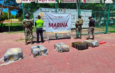 En el recinto portuario de manzanillo, colima, marina asegura presunta carga ilícita