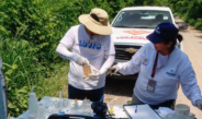 Estado en espera de dictamen de autoridades ambientales sobre mortandad de peces
