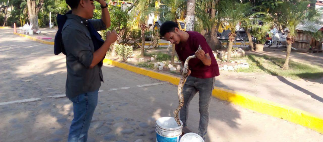 Mantiene Ayuntamiento de Veracruz atención permanente para proteger la fauna del Parque Ecológico