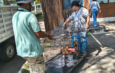 Resguarda Ayuntamiento de Veracruz a perrita víctima de maltrato en Lomas del Vergel