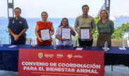 Sedema, PMA y FGE acuerdan acciones conjuntas para el bienestar animal