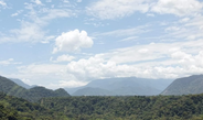 En un año, Sedema atendió más de 7 mil kilómetros del Área Natural Protegida Metlac-Río Blanco