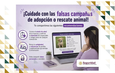La SSPC emite recomendaciones para evitar fraudes en falsas campañas de adopción o rescate animal