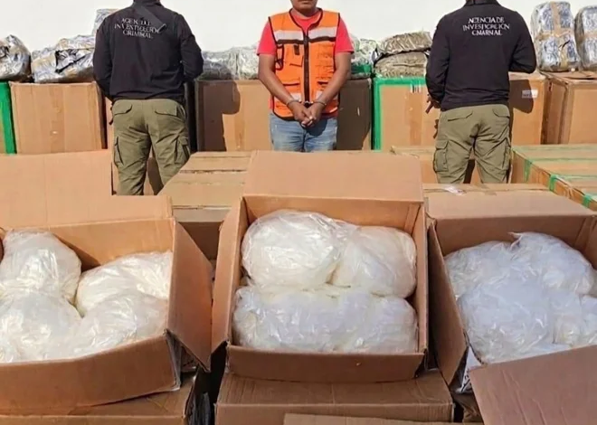 En Tabasco, autoridades federales detienen a una persona que transportaba cerca de dos toneladas de droga ocultas en dulces de coco