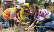 Presidenta Claudia Sheinbaum encabeza inicio de la Jornada Nacional de Reforestación 2026