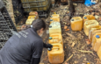 Ejecuta FGR dos órdenes de cateo y asegura cerca de cinco mil litros de hidrocarburo en Carrillo Puerto y Tlalixcoyan