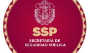 Fuerzas de seguridad decomisan más de 730 litros de hidrocarburo y más de 250 dosis de sustancias ilícitas 
