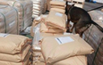 MARINA y ANAM identifican e inmoviliza más de 54 mil kilos de dextrosa anhidra en la aduana de Manzanillo, Colima