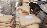 MARINA y ANAM identifican e inmoviliza más de 54 mil kilos de dextrosa anhidra en la aduana de Manzanillo, Colima