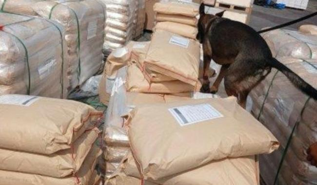 MARINA y ANAM identifican e inmoviliza más de 54 mil kilos de dextrosa anhidra en la aduana de Manzanillo, Colima