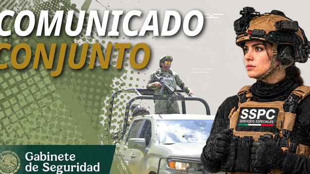 Autoridades federales y estatales detienen en Baja California a un hombre vinculado con un grupo delictivo