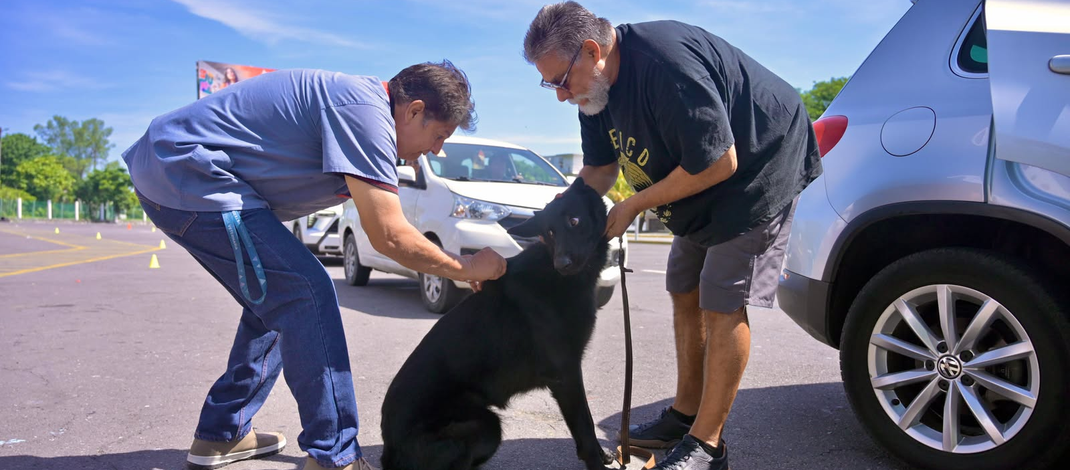 Fortalece Ayuntamiento de Veracruz la salud y protección de animales de compañía en Jornada Nacional de Vacunación 2026