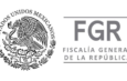 Obtiene FGR vinculación a proceso contra una persona por portación de arma de fuego sin licencia en Veracruz