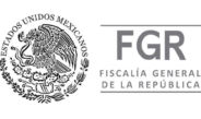 Obtiene FGR vinculación a proceso contra una persona por portación de arma de fuego sin licencia en Veracruz
