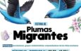 Celebra SECVER el Día Mundial de las Aves Migratorias en el MAEV