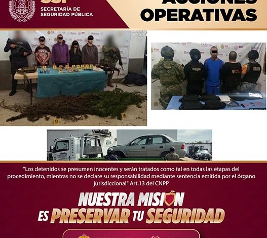 Detenidos 11 presuntos integrantes de células delictivas durante operativos coordinados