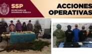 Detenidos 11 presuntos integrantes de células delictivas durante operativos coordinados