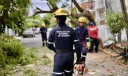 Atiende Ayuntamiento de Veracruz 41 afectaciones por Frente Frío No. 2 y mantiene operativo en toda la ciudad