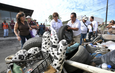 Refuerza Ayuntamiento de Veracruz orden y limpieza en colonias con programa de descacharrización