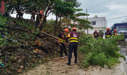 Más de 2 mil elementos participaron en labores de auxilio en municipios del sur 