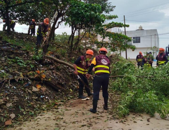 Más de 2 mil elementos participaron en labores de auxilio en municipios del sur 