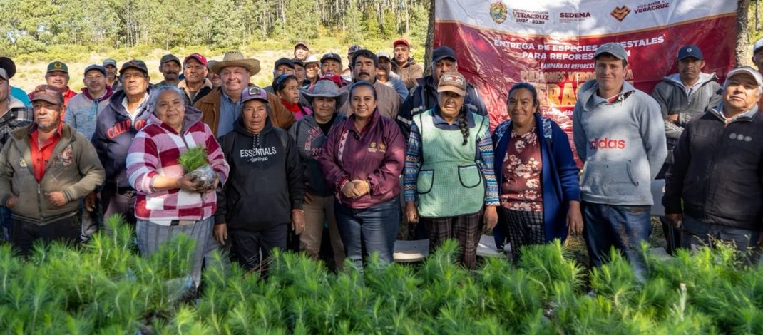 Reforesta Sedema 3.5 hectáreas en el ejido Las Vigas con 3 mil 500 árboles